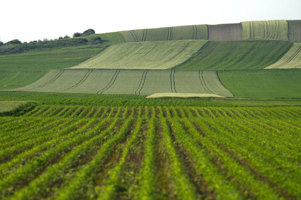 Привреда Шумадије и Поморавља са највећим суфицитом у Србије