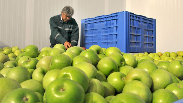 Пословање извозника под лупом