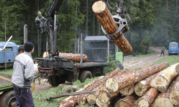 МУКЕ СРБА У БРАДИНИ, АЛИ И У ДРУГИМ ДЕЛОВИМА ФБиХ: Ћито и Ћело  секу српске шуме и воћке