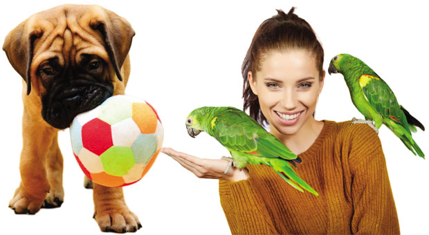 Како најбрже да се орасположите
