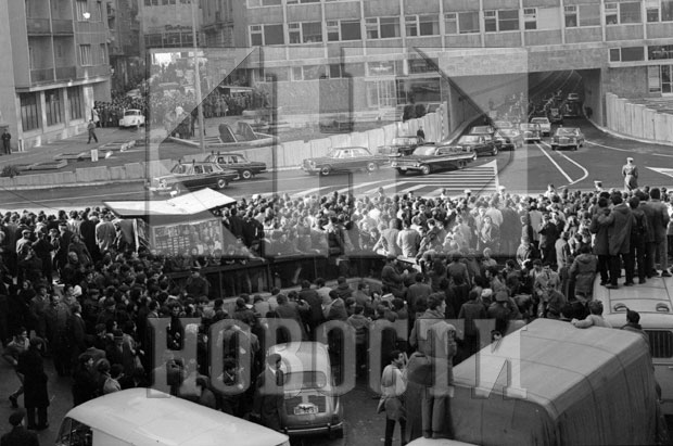 Београдске приче: Бдење испред првог драгстора
