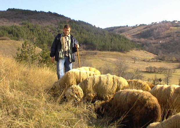Стара планина: Сунце штеди сено