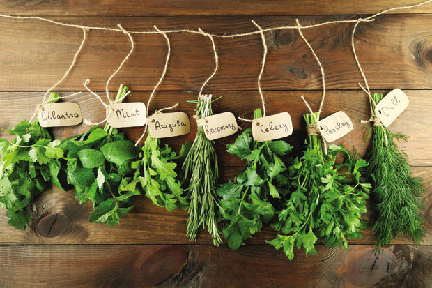 Како да зачини дуже трају