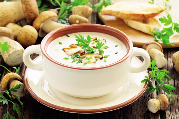 Моћне печурке