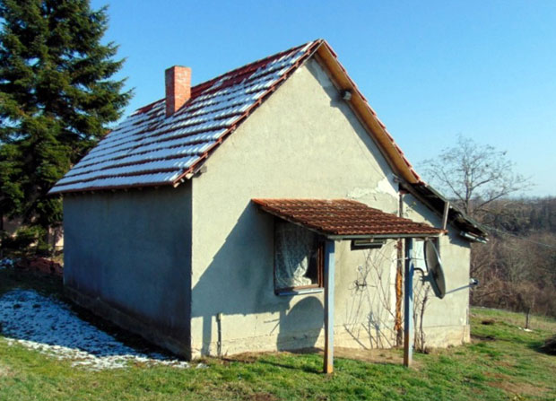 Претукао па силовао мајку