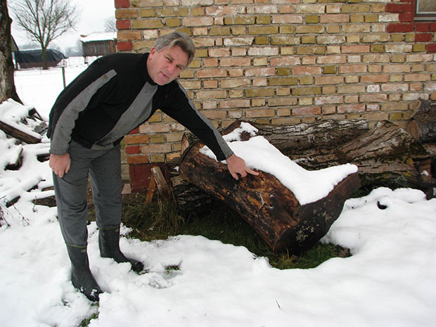 Поткорњаци уништавају орахе око Градишке