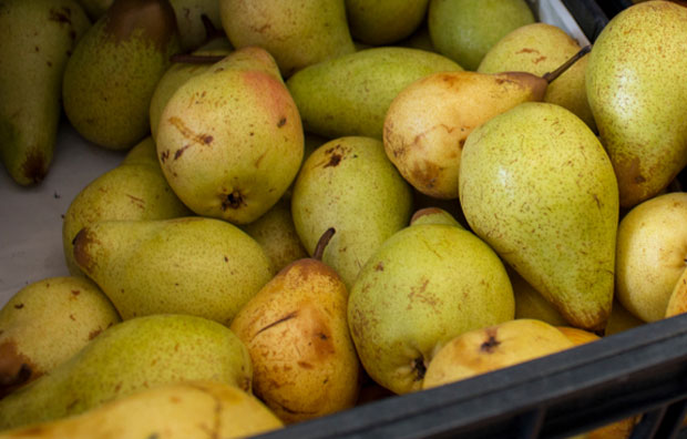 Русија уводи забрану увоза крушака из Србије