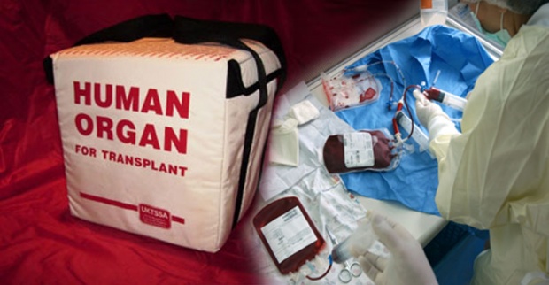Холандија: По новом закону, сви грађани донатори органа