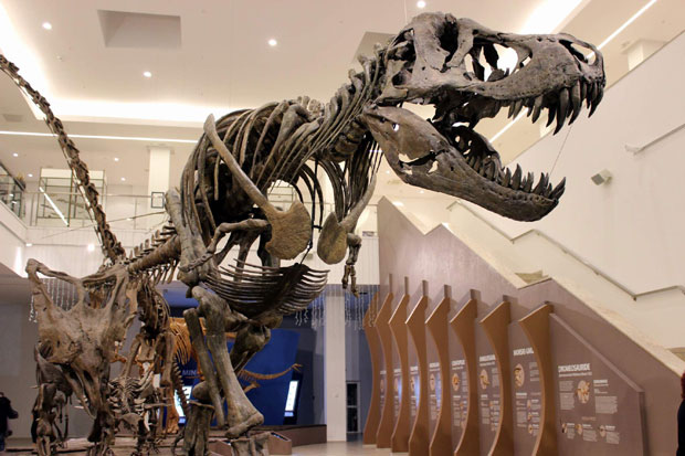 Посета страшним гуштерима упола цене