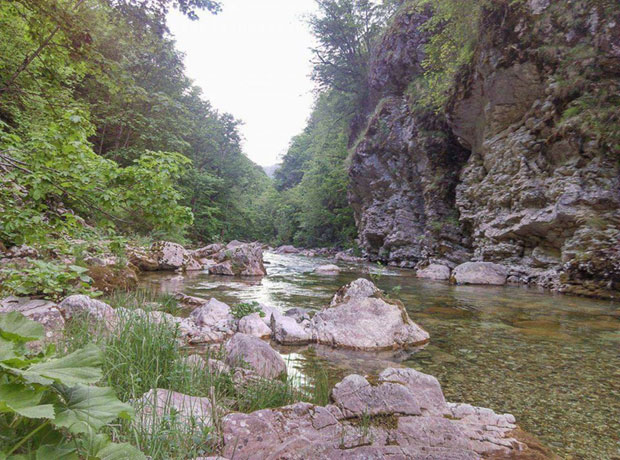 Шавник: Живи штит - брана за хидроелектрану