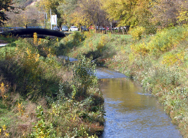 Измештање корита Топчидерске реке