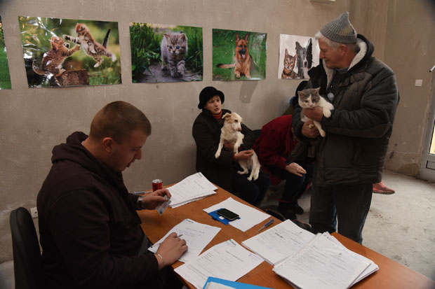 Бесплатни прегледи за псе и мачке до краја године