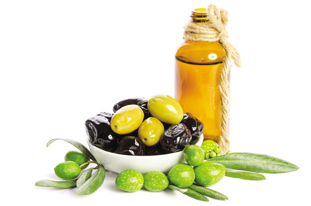 Маслине: Лековити и плодови и лишће 