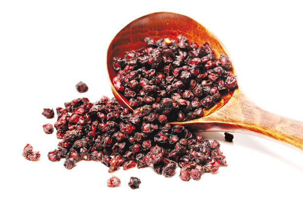 Шисандра: Одлична за имунитет, смањује стрес, даје снагу