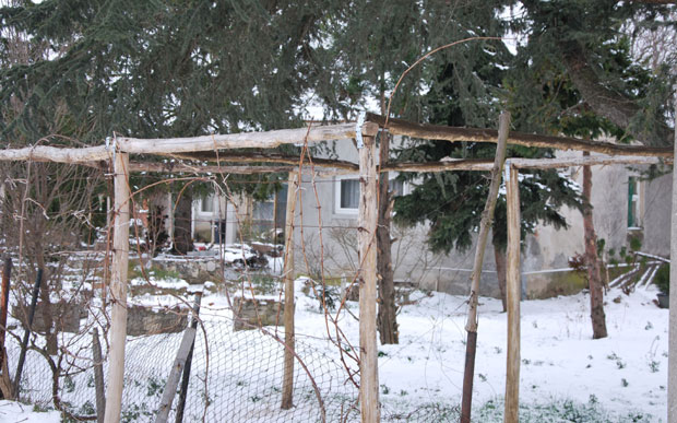 Обљубио сина, пријавила га школа