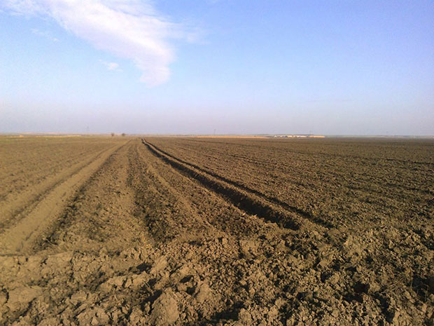 Где је завршило опасно ђубриво?