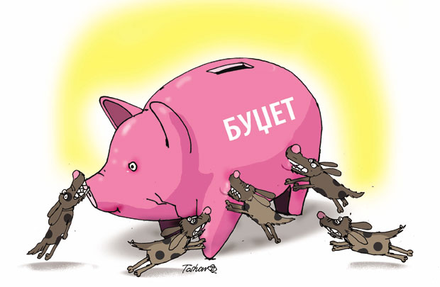 Од уједа паса луталица праве бизнис