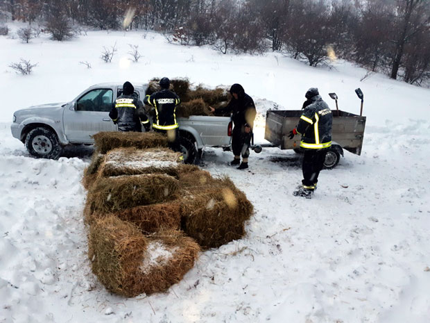 Допремили помоћ завејаној породици