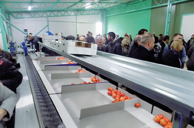 ЗА Зелену звезду из буџета 10,4 милиона