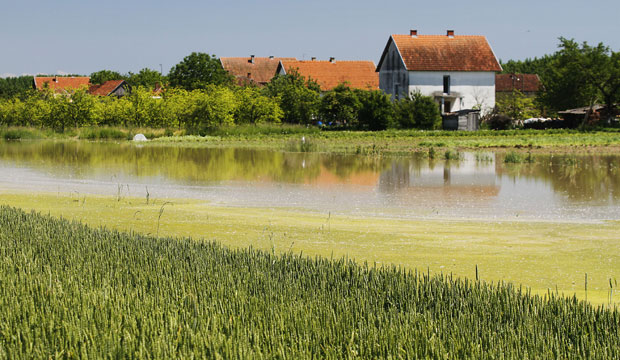 Решења стижу на кућну адресу
