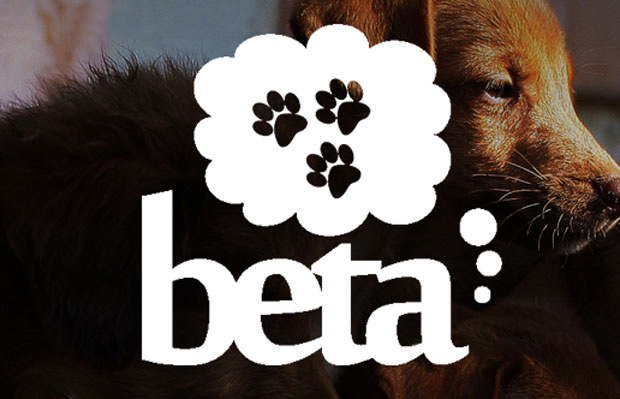 ЗОВ: Удружењу  БЕТА награда Animals Best Friend”