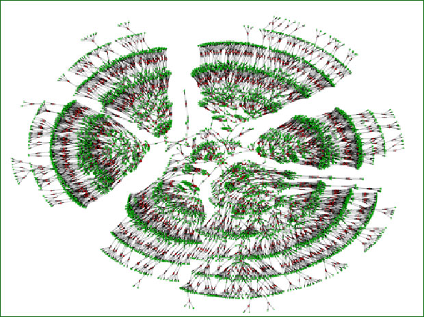Научници саставили генеалошко стабло од 13 милиона људи