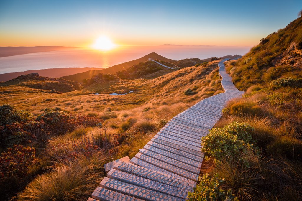 Најтоплије лето икад измерено