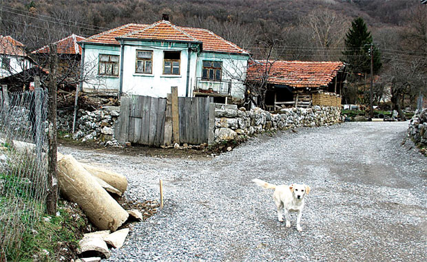 Ниш: Помоћ за младе брачне парове