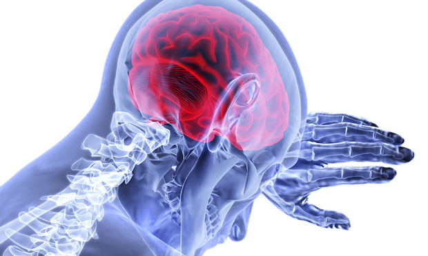 Мозак после 13. године више не производи неуроне за памћење