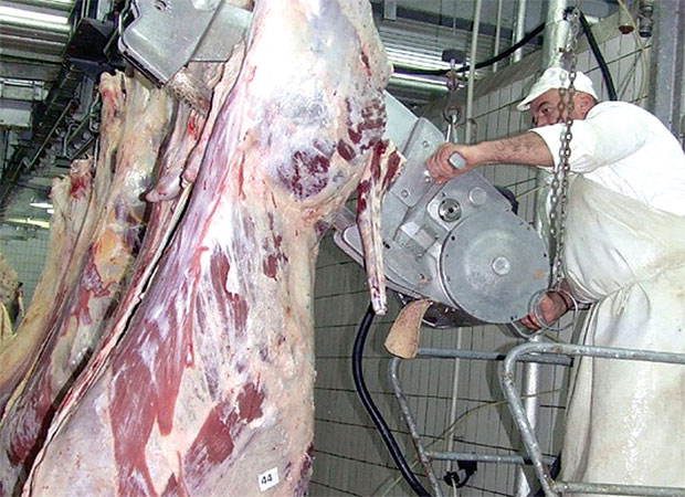 СТОЧАРИ СА ПЕШТЕРА ВЕЋ ГУБЕ СТРПЉЕЊЕ: Касни реализација споразума о извозу меса из Србије у Турску