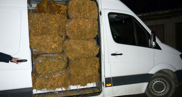 ФОТО: Запленили тону дувана