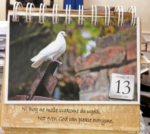 Шпијунка: Како угодити свима?