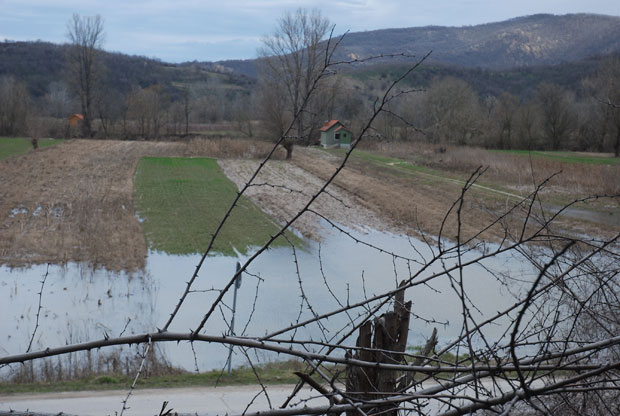 ЈУЖНА МОРАВА ОПАЛА 80 ЦМ: На снази редовна одбрана од поплава