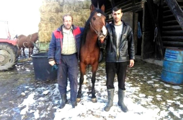 РАЈ ЗА ТУРИСТЕ СРУШИО СЕ ПРЕКО НОЋИ: Ергела на Борикама на коленима