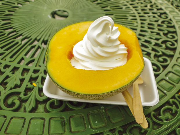 Најскупља диња на свету