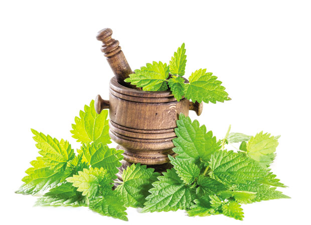 Чај од коприве за чист нос 