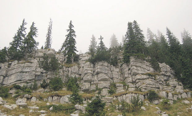 Окончана потрага на Голији: Мештанин који је  упао у јаму пронађен мртав!