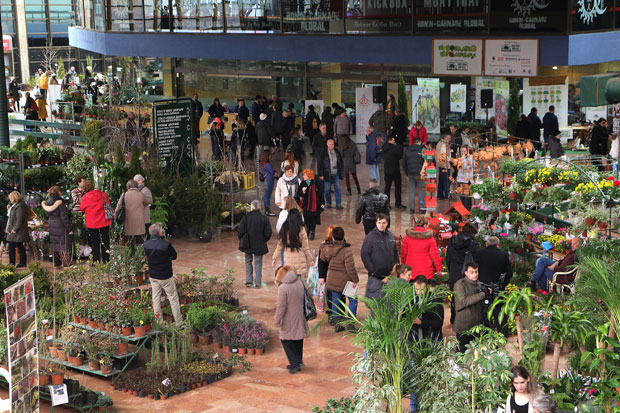 НОВОСАДСКО ПРОЛЕЋЕ: Богата понуда за лепше баште и дворишта
