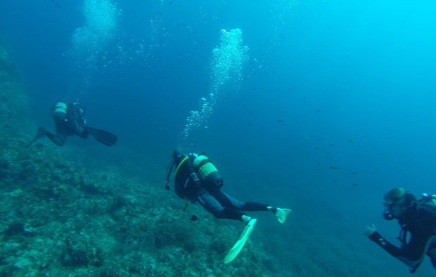 У океанској зони сумрака откривено нешто што нико није очекивао