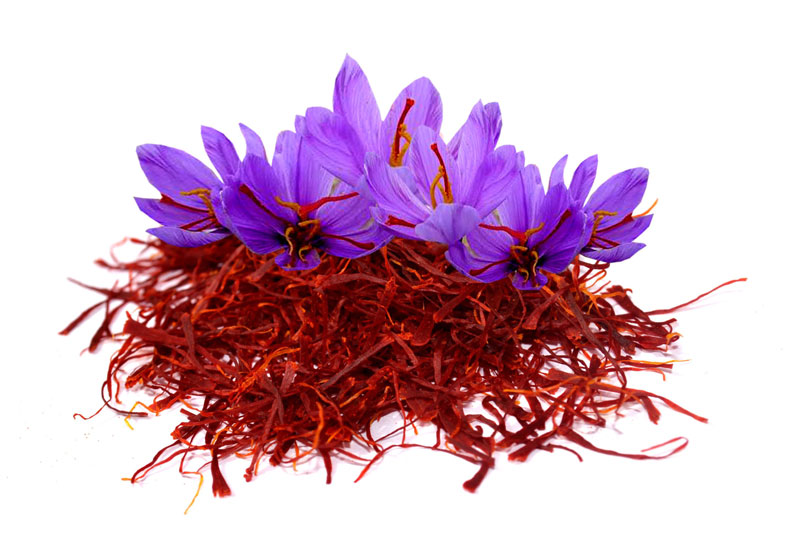 Пролећни шафран регулише холестерол