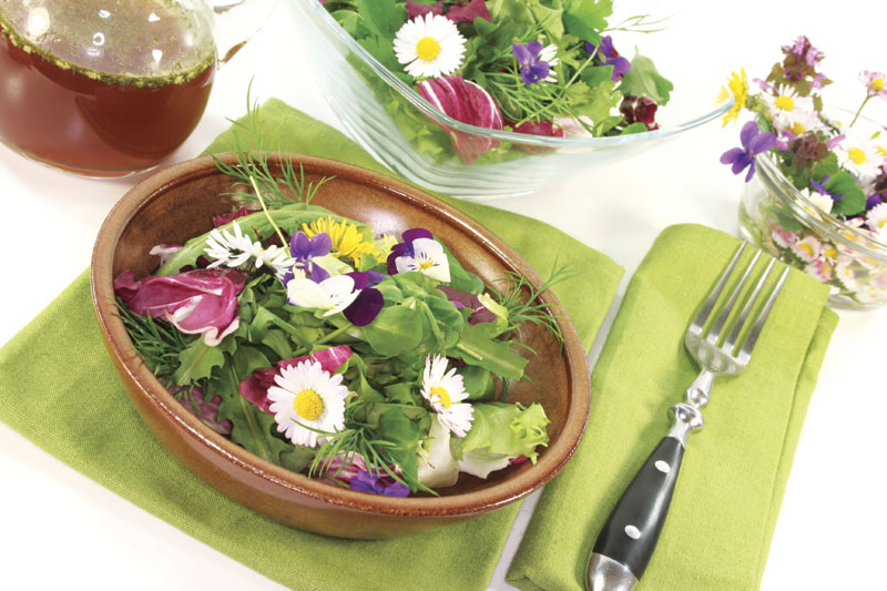 За имунитет јак као стена 