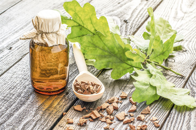 Рецепти од коре дрвета