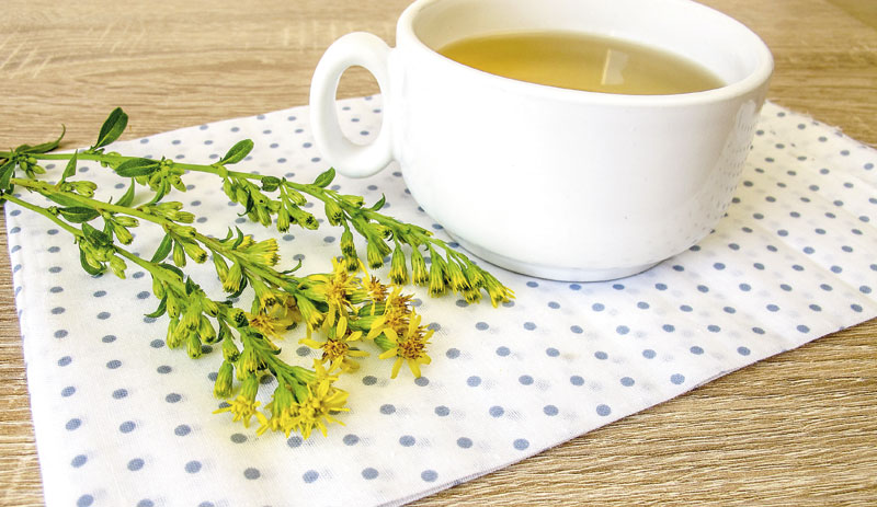 Златница враћа осмех на лице