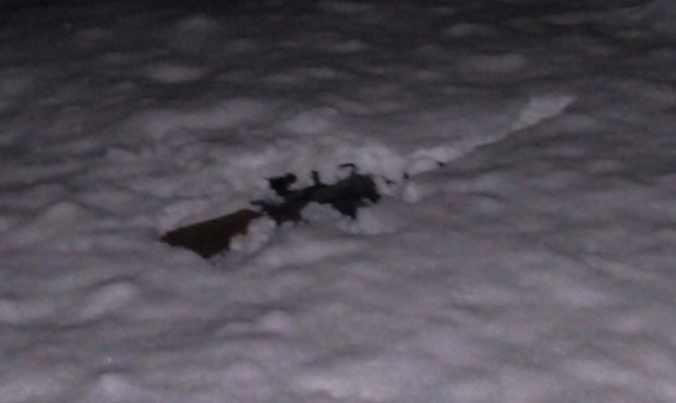 Криволовци у бекству одбацили пушку