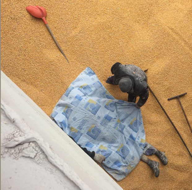 Младић погинуо у баржи при утовару кукуруза