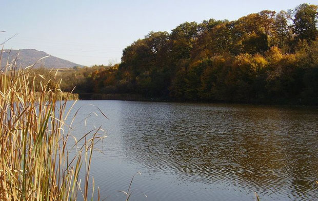 Београдске приче: Паригуз за тешке ране јуначке