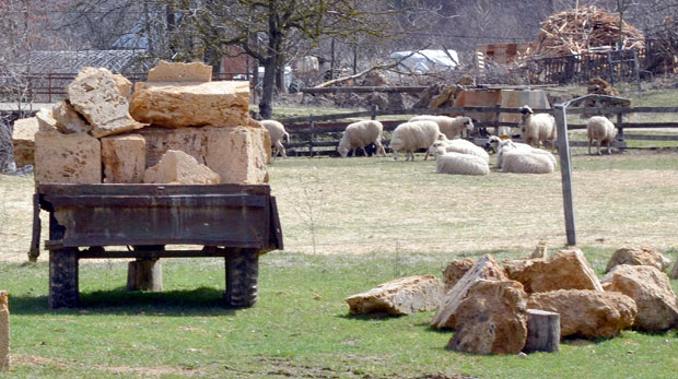 Луксузне штале за таорске краве