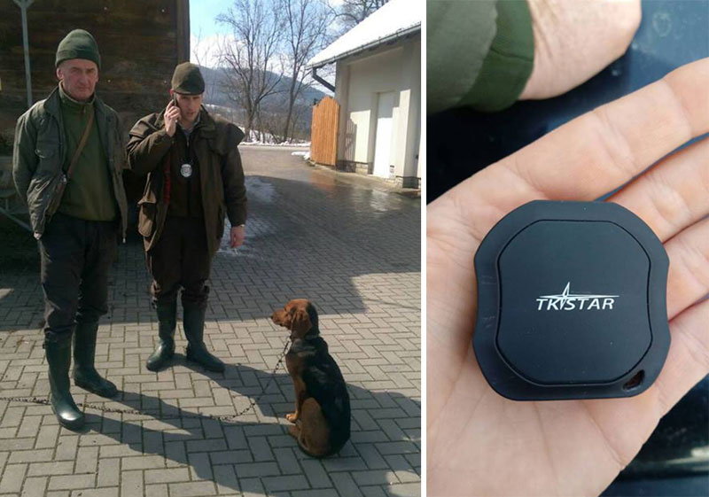 НЕОБИЧНА ПРИЧА ЛОВОЧУВАРА: Пас откуцао газду и довео га до  станице полиције