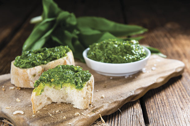 Сремуш чисти крвне судове