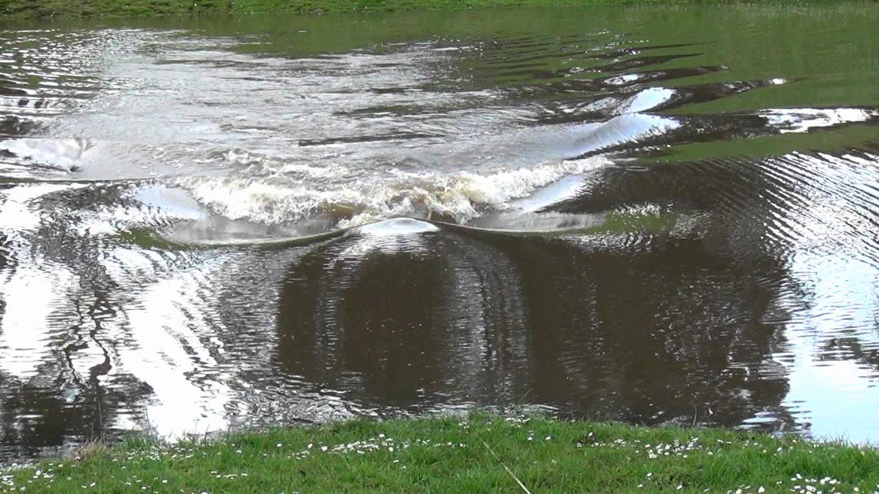 СЕНЗАЦИОНАЛНО ОТКРИЋЕ: Истина о чудовишту из Лох Неса